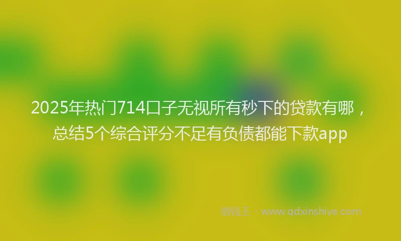 2025年热门714口子无视所有秒下的贷款有哪，总结5个综合评分不足有负债都能下款app