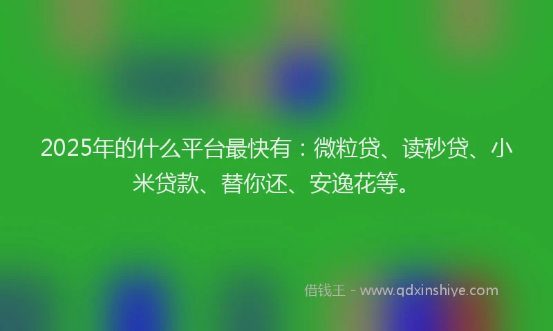 2025年的什么平台最快有：微粒贷、读秒贷、小米贷款、替你还、安逸花等。