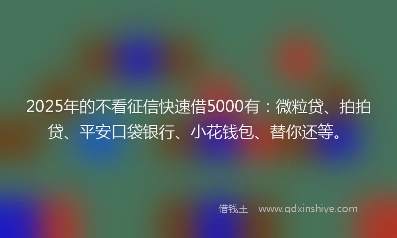 2025年的不看征信快速借5000有：微粒贷、拍拍贷、平安口袋银行、小花钱包、替你还等。