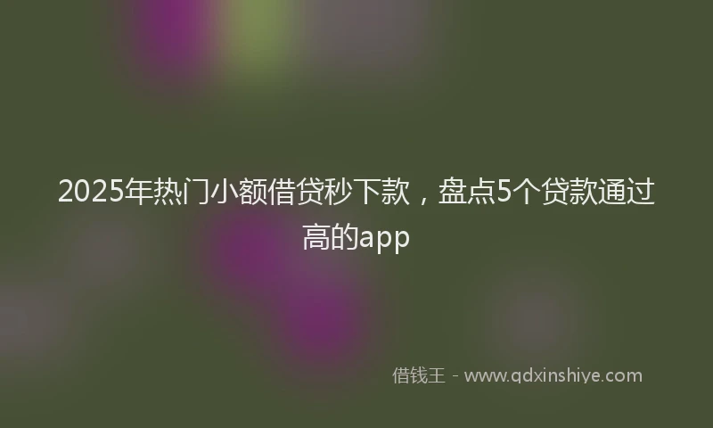 2025年热门小额借贷秒下款，盘点5个贷款通过高的app