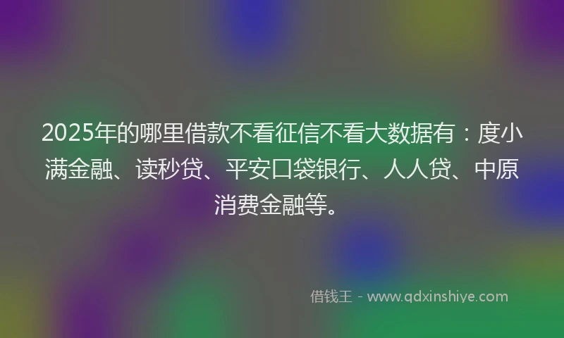 2025年的哪里借款不看征信不看大数据有：度小满金融、读秒贷、平安口袋银行、人人贷、中原消费金融等。