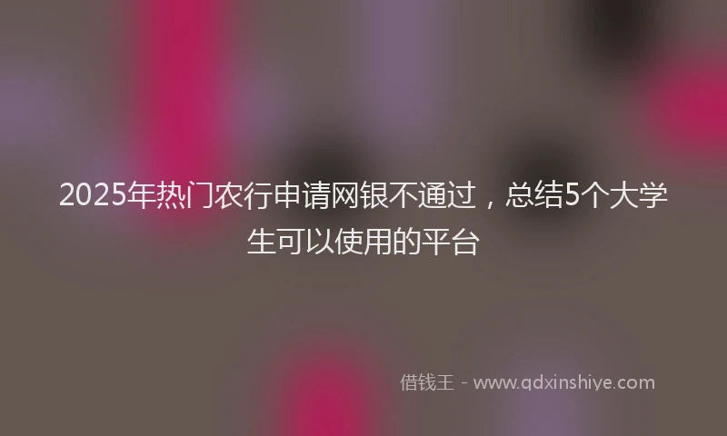 2025年热门农行申请网银不通过，总结5个大学生可以使用的平台