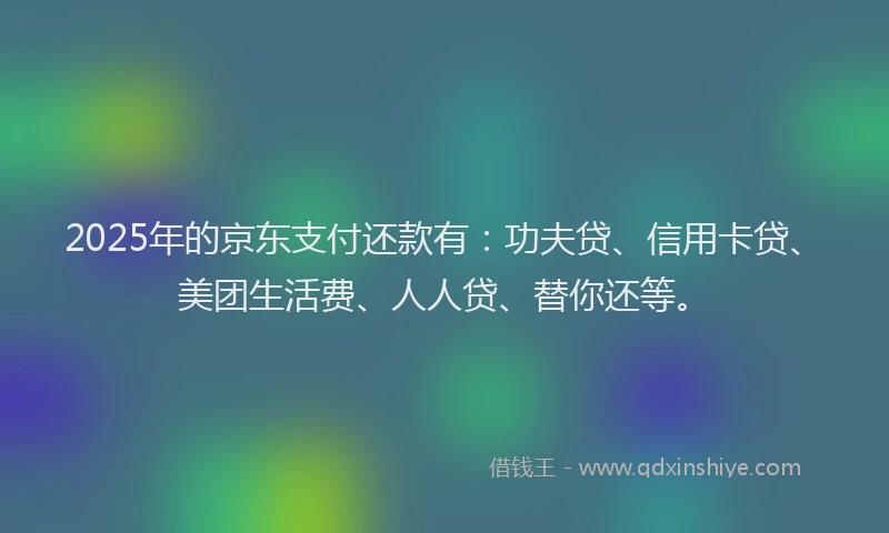 2025年的京东支付还款有：功夫贷、信用卡贷、美团生活费、人人贷、替你还等。