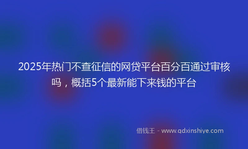 2025年热门不查征信的网贷平台百分百通过审核吗，概括5个最新能下来钱的平台