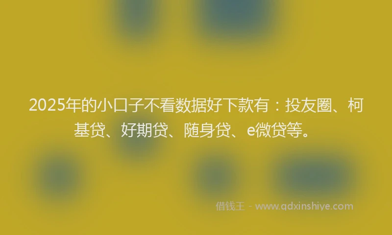 2025年的小口子不看数据好下款有：投友圈、柯基贷、好期贷、随身贷、e微贷等。