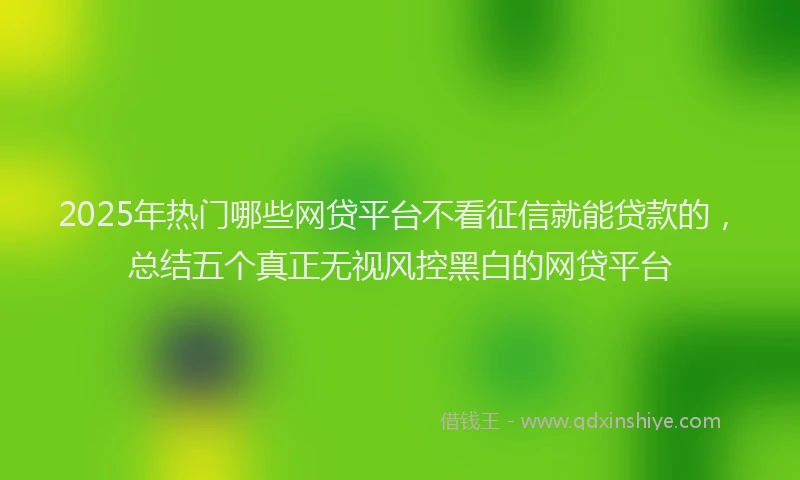 2025年热门哪些网贷平台不看征信就能贷款的，总结五个真正无视风控黑白的网贷平台