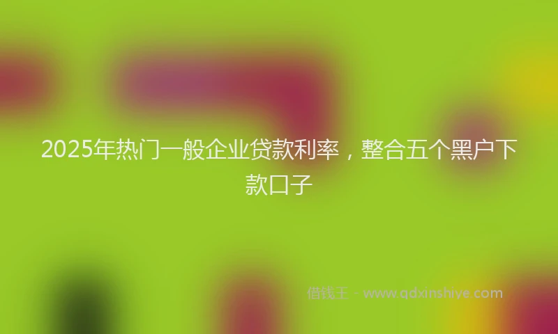 2025年热门一般企业贷款利率，整合五个黑户下款口子