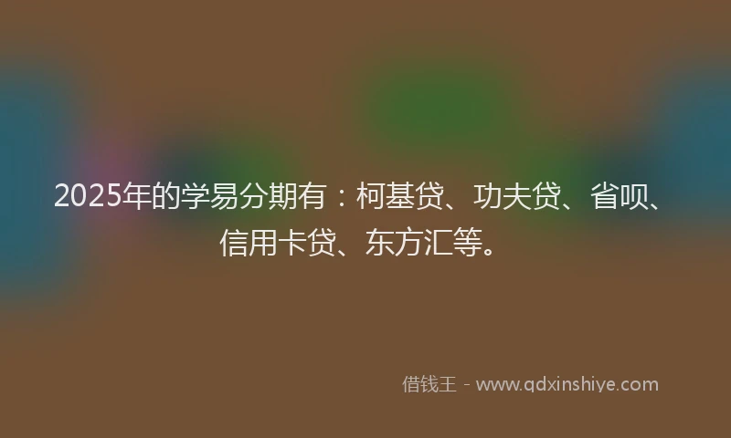 2025年的学易分期有：柯基贷、功夫贷、省呗、信用卡贷、东方汇等。