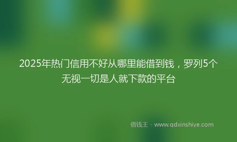 2025年热门信用不好从哪里能借到钱，罗列5个无视一切是人就下款的平台