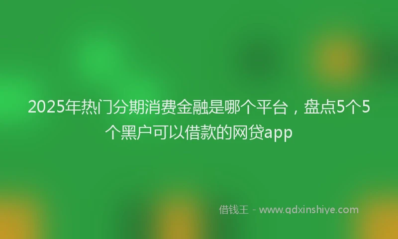 2025年热门分期消费金融是哪个平台，盘点5个5个黑户可以借款的网贷app