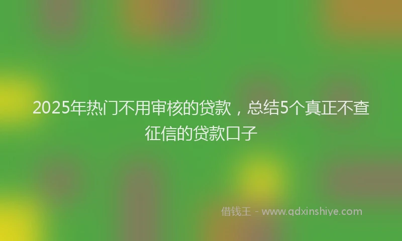 2025年热门不用审核的贷款，总结5个真正不查征信的贷款口子