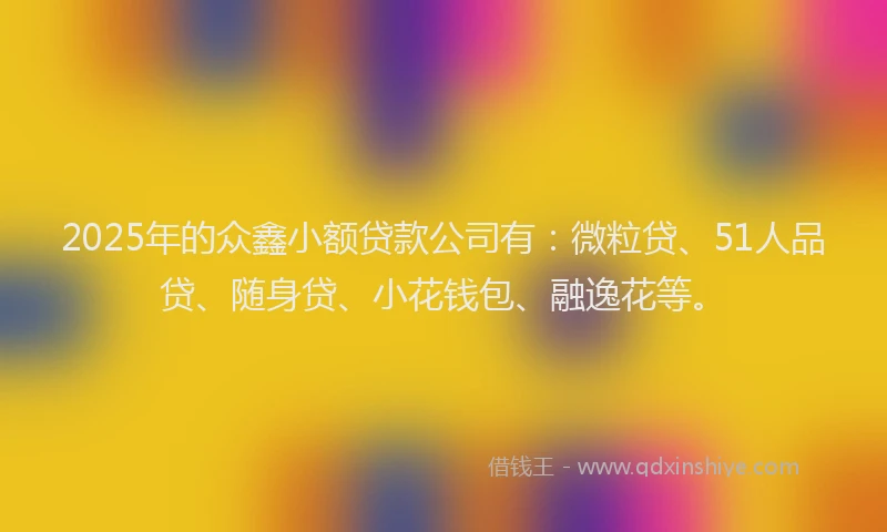 2025年的众鑫小额贷款公司有：微粒贷、51人品贷、随身贷、小花钱包、融逸花等。