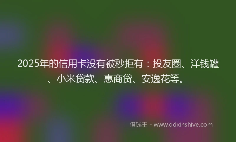 2025年的信用卡没有被秒拒有：投友圈、洋钱罐、小米贷款、惠商贷、安逸花等。
