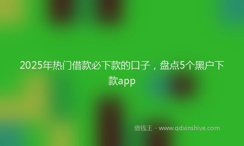 2025年热门借款必下款的口子，盘点5个黑户下款app