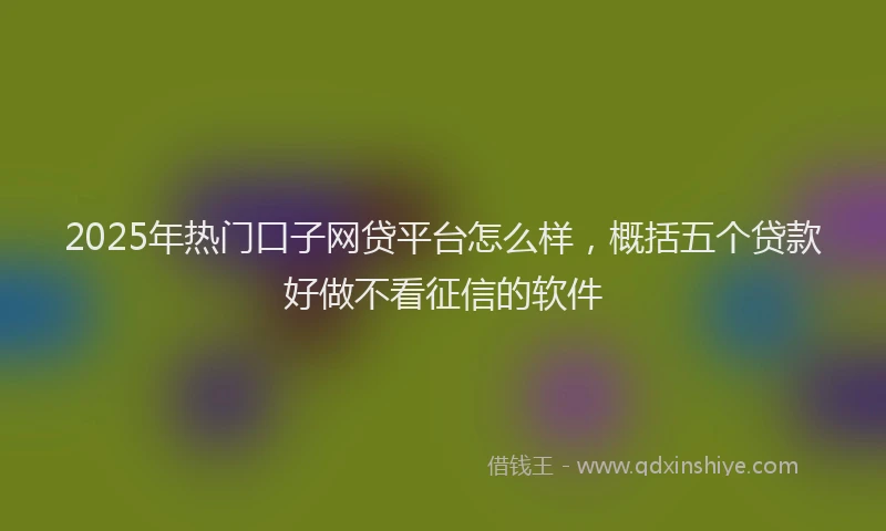 2025年热门口子网贷平台怎么样，概括五个贷款好做不看征信的软件
