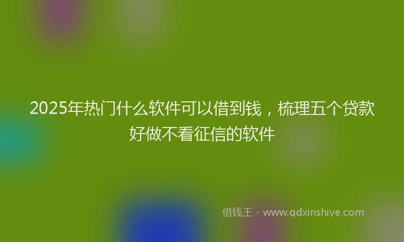 2025年热门什么软件可以借到钱，梳理五个贷款好做不看征信的软件