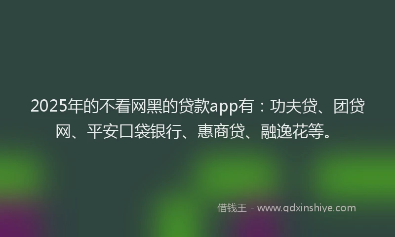 2025年的不看网黑的贷款app有：功夫贷、团贷网、平安口袋银行、惠商贷、融逸花等。
