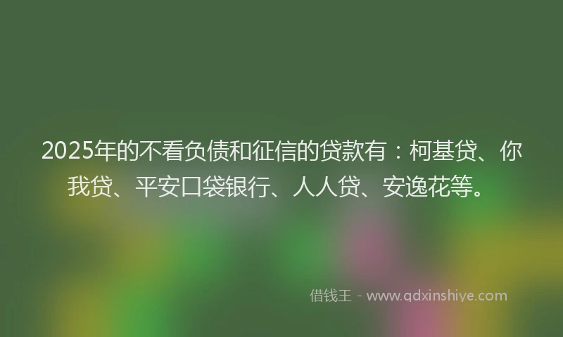2025年的不看负债和征信的贷款有：柯基贷、你我贷、平安口袋银行、人人贷、安逸花等。