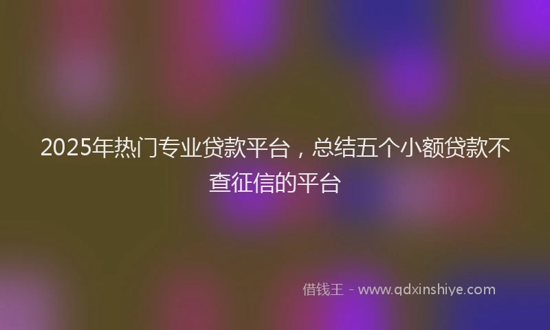 2025年热门专业贷款平台，总结五个小额贷款不查征信的平台
