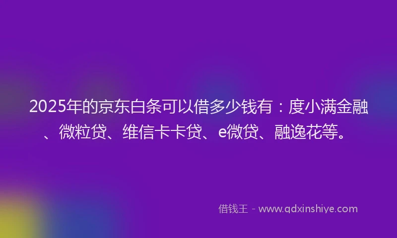2025年的京东白条可以借多少钱有：度小满金融、微粒贷、维信卡卡贷、e微贷、融逸花等。