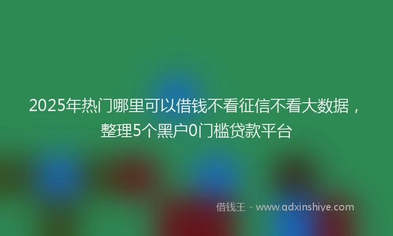 2025年热门哪里可以借钱不看征信不看大数据，整理5个黑户0门槛贷款平台
