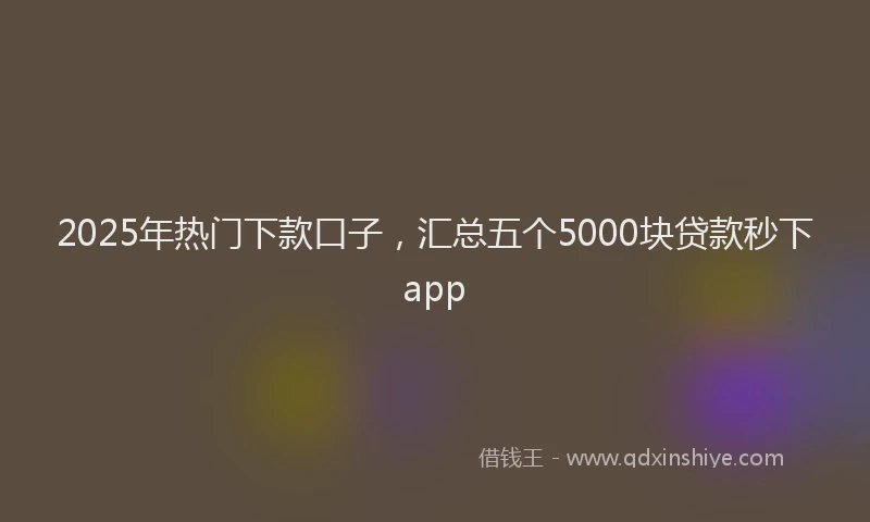 2025年热门下款口子，汇总五个5000块贷款秒下app