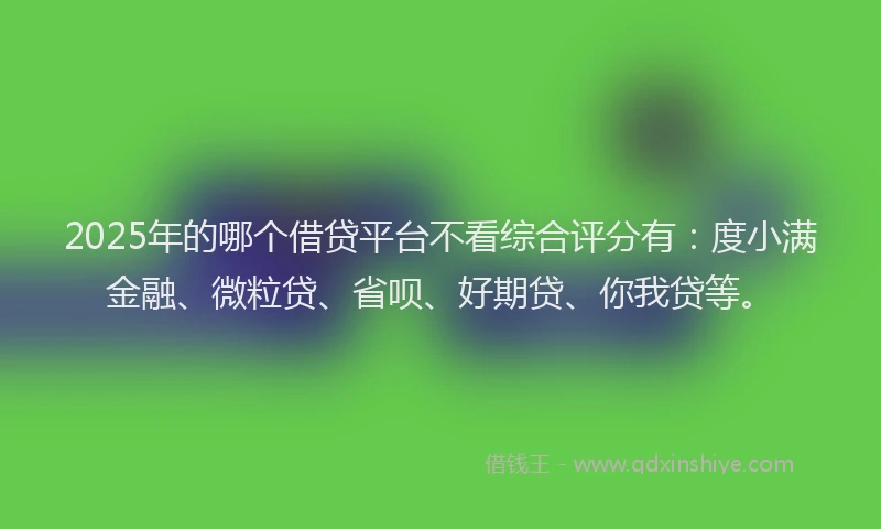 2025年的哪个借贷平台不看综合评分有：度小满金融、微粒贷、省呗、好期贷、你我贷等。