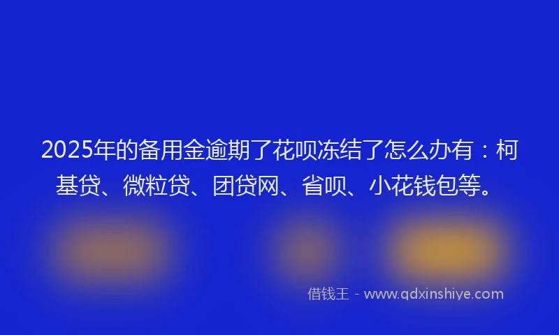 2025年的备用金逾期了花呗冻结了怎么办有：柯基贷、微粒贷、团贷网、省呗、小花钱包等。