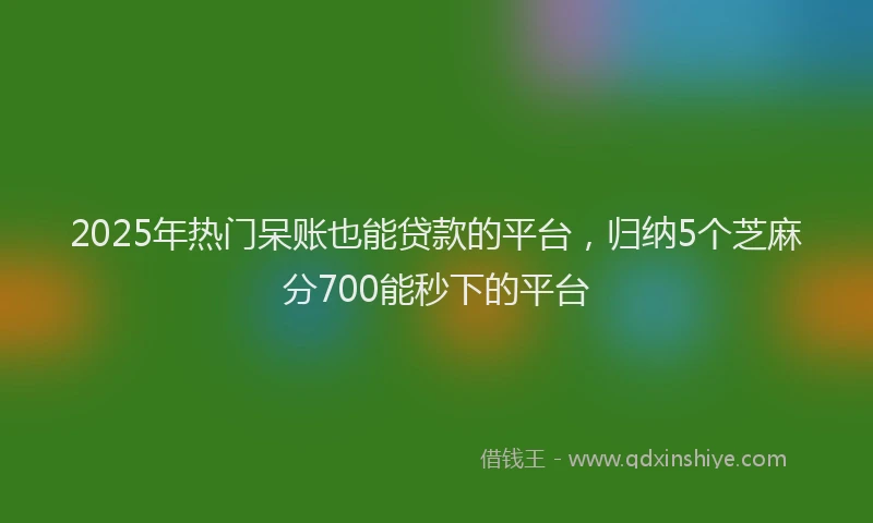 2025年热门呆账也能贷款的平台，归纳5个芝麻分700能秒下的平台