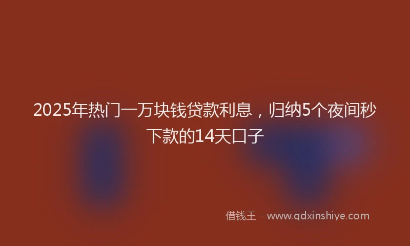 2025年热门一万块钱贷款利息，归纳5个夜间秒下款的14天口子
