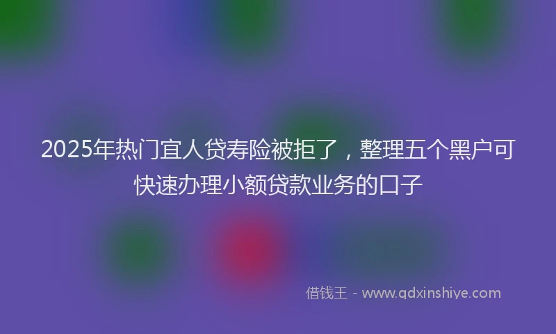 2025年热门宜人贷寿险被拒了，整理五个黑户可快速办理小额贷款业务的口子