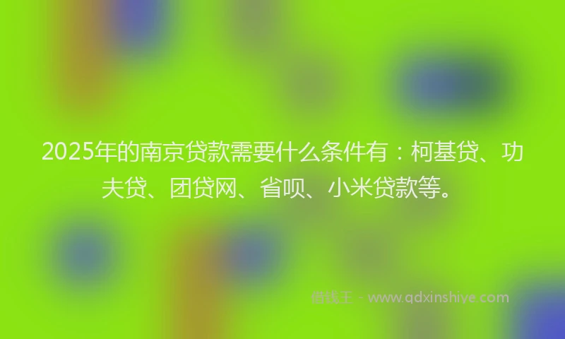2025年的南京贷款需要什么条件有：柯基贷、功夫贷、团贷网、省呗、小米贷款等。