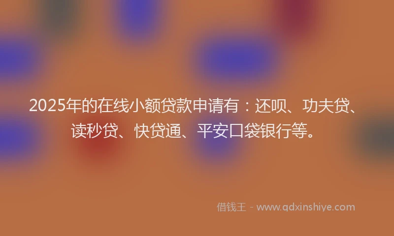 2025年的在线小额贷款申请有：还呗、功夫贷、读秒贷、快贷通、平安口袋银行等。