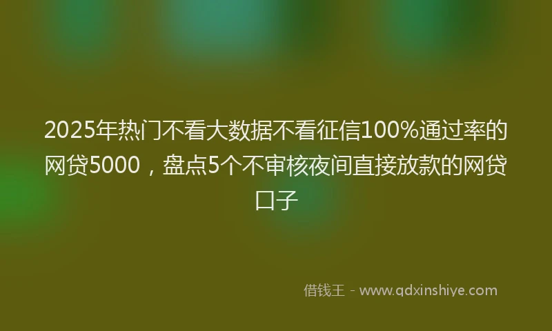 2025年热门不看大数据不看征信100%通过率的网贷5000，盘点5个不审核夜间直接放款的网贷口子