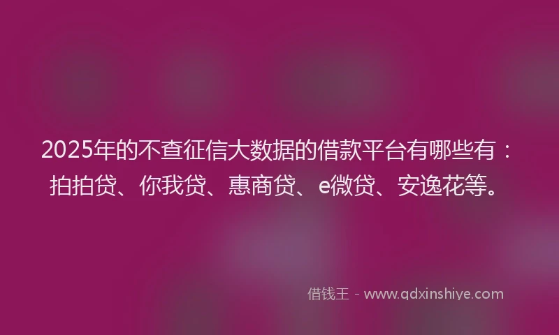 2025年的不查征信大数据的借款平台有哪些有：拍拍贷、你我贷、惠商贷、e微贷、安逸花等。