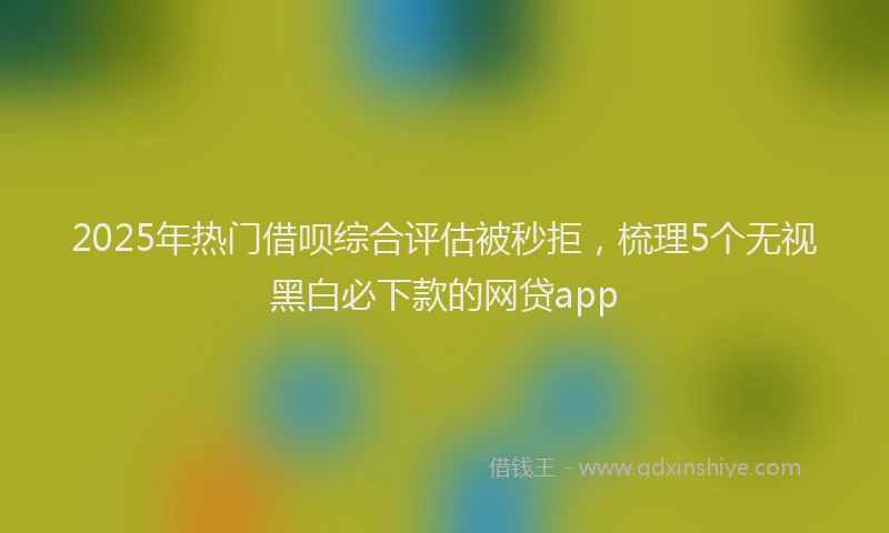 2025年热门借呗综合评估被秒拒，梳理5个无视黑白必下款的网贷app