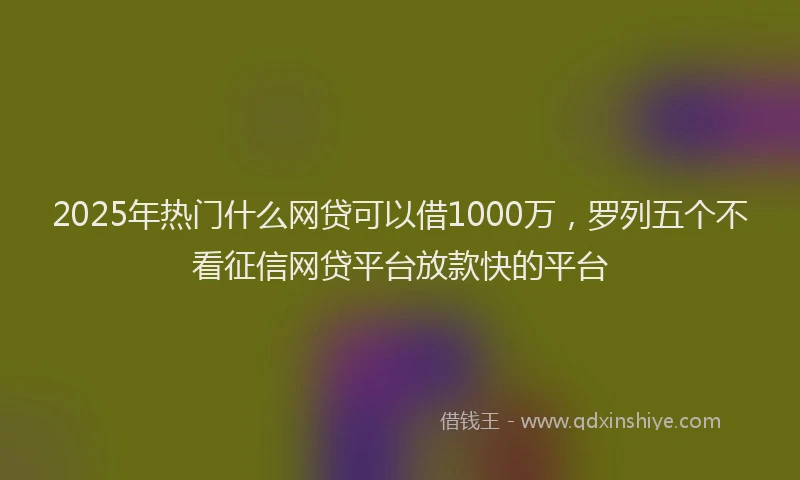 2025年热门什么网贷可以借1000万，罗列五个不看征信网贷平台放款快的平台