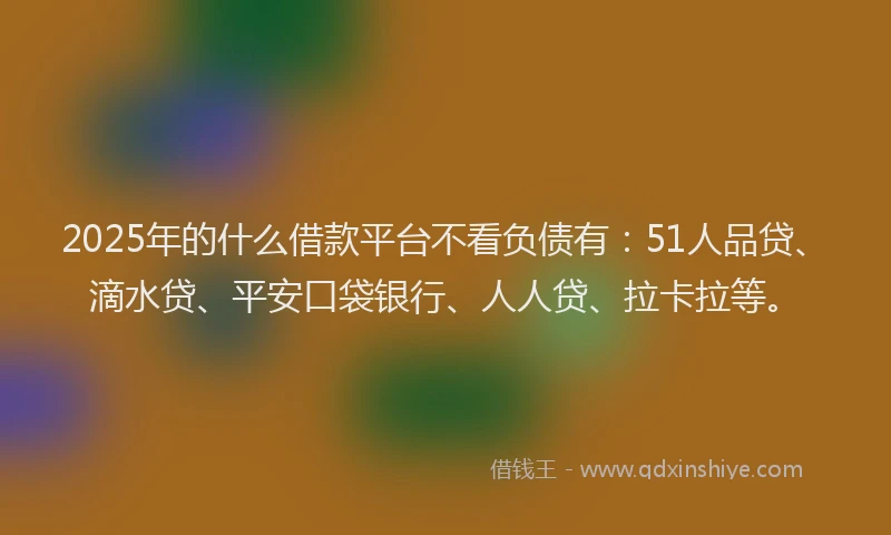2025年的什么借款平台不看负债有：51人品贷、滴水贷、平安口袋银行、人人贷、拉卡拉等。