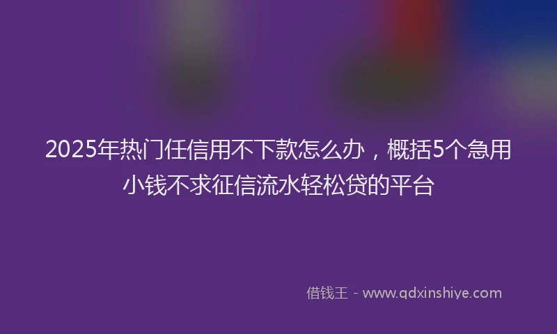 2025年热门任信用不下款怎么办，概括5个急用小钱不求征信流水轻松贷的平台