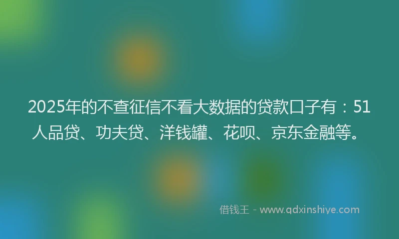 2025年的不查征信不看大数据的贷款口子有：51人品贷、功夫贷、洋钱罐、花呗、京东金融等。