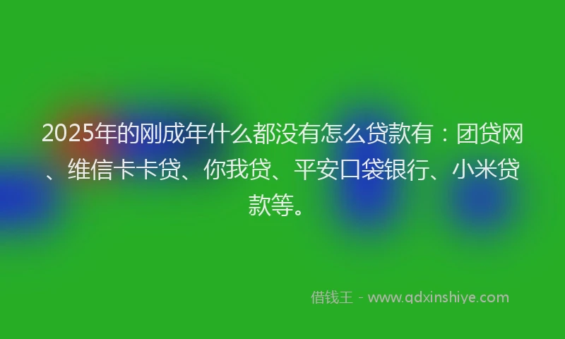 2025年的刚成年什么都没有怎么贷款有：团贷网、维信卡卡贷、你我贷、平安口袋银行、小米贷款等。