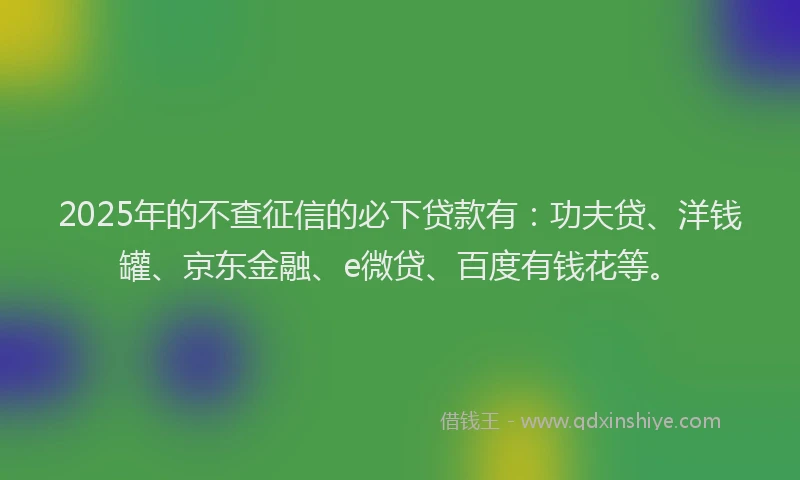 2025年的不查征信的必下贷款有：功夫贷、洋钱罐、京东金融、e微贷、百度有钱花等。