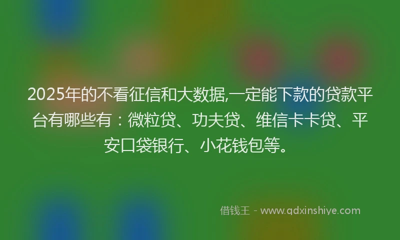 2025年的不看征信和大数据,一定能下款的贷款平台有哪些有：微粒贷、功夫贷、维信卡卡贷、平安口袋银行、小花钱包等。