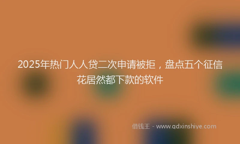 2025年热门人人贷二次申请被拒，盘点五个征信花居然都下款的软件