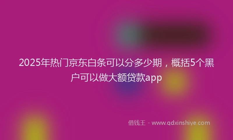 2025年热门京东白条可以分多少期，概括5个黑户可以做大额贷款app