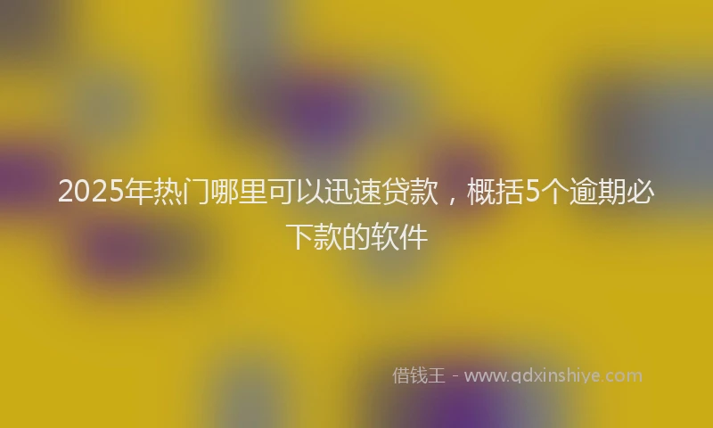 2025年热门哪里可以迅速贷款，概括5个逾期必下款的软件