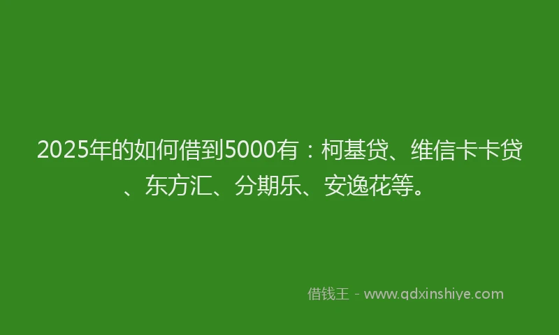 2025年的如何借到5000有：柯基贷、维信卡卡贷、东方汇、分期乐、安逸花等。