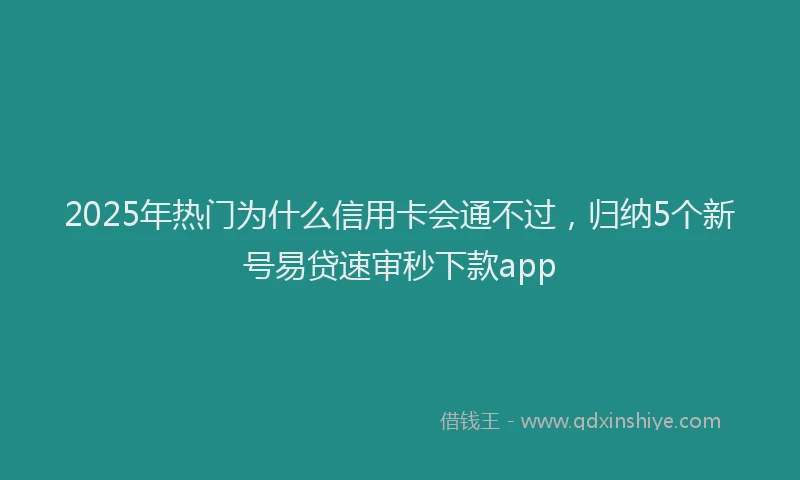 2025年热门为什么信用卡会通不过，归纳5个新号易贷速审秒下款app