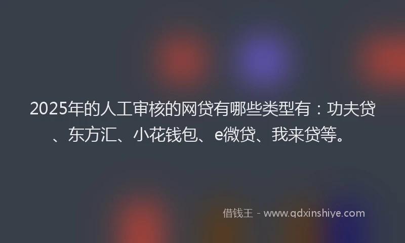 2025年的人工审核的网贷有哪些类型有：功夫贷、东方汇、小花钱包、e微贷、我来贷等。
