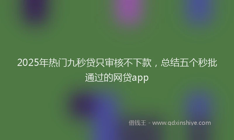 2025年热门九秒贷只审核不下款，总结五个秒批通过的网贷app